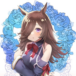 This is a pixiv picture whose title is ライスシャワー.