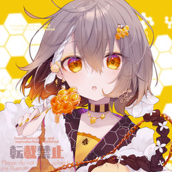 This is a pixiv picture whose title is 🍯🐝.