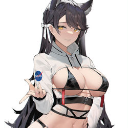 This is a pixiv picture whose title is Atago commission.