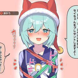 This is a pixiv picture whose title is サンタセイちゃん.