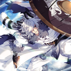 This is a pixiv picture whose title is The shield.