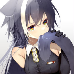 This is a pixiv picture whose title is ねこ.