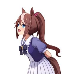 This is a pixiv picture whose title is トウカイテイオー.