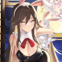 This is a pixiv picture whose title is パニリヤイラコンFA.