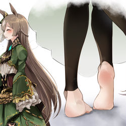 This is a pixiv picture whose title is サトノダイヤモンド素足説.