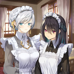 This is a pixiv picture whose title is 従順なメイドと反抗的なメイド.