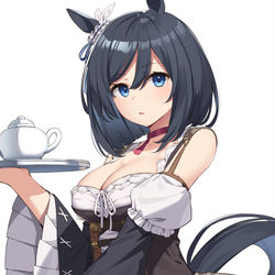 This is a pixiv picture whose title is エイシンフラッシュ.