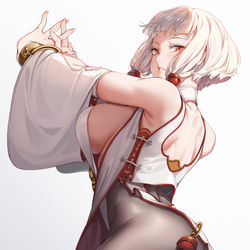 This is a pixiv picture whose title is 武術.