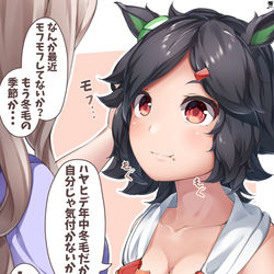 This is a pixiv picture whose title is 冬毛でモフモフなチケゾー.