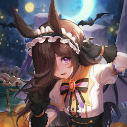 This is a pixiv picture whose title is ライスシャワー.