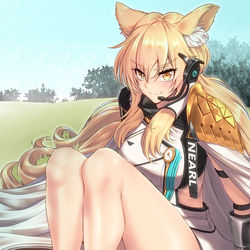 This is a pixiv picture whose title is 耀騎士临光 Nearl ニアール.