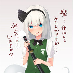 This is a pixiv picture whose title is 東方絵.