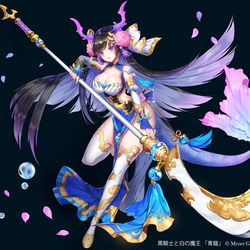 This is a pixiv picture whose title is [仕事絵]黒騎士と白の魔王 -青龍.