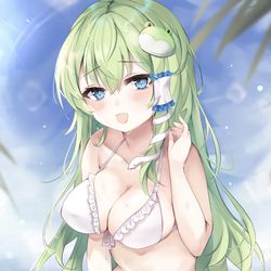 This is a pixiv picture whose title is 早苗さん.
