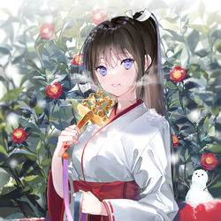 This is a pixiv picture whose title is 真紅の巫女と純白の巫女.