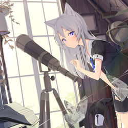 This is a pixiv picture whose title is 屋根裏部屋で見つけました.