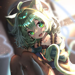 This is a pixiv picture whose title is ねこいしちゃん.