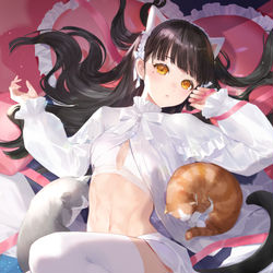 This is a pixiv picture whose title is 🐈.