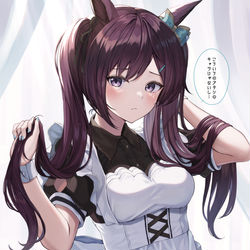 This is a pixiv picture whose title is ツインテメイドーベルちゃん。。。.