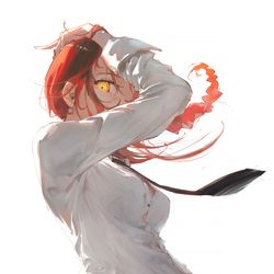 This is a pixiv picture whose title is makima.