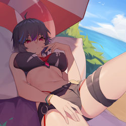 This is a pixiv picture whose title is 渡鸦.