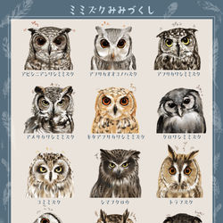 This is a pixiv picture whose title is 「ミミズクみみづくし」.