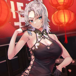 This is a pixiv picture whose title is けもみみスリットチャイナ.
