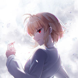 This is a pixiv picture whose title is アルクェイド.