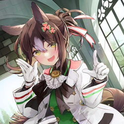 This is a pixiv picture whose title is ファインモーション.