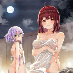 This is a pixiv picture whose title is 月下温泉物語.