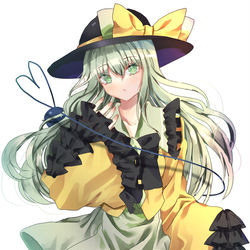 This is a pixiv picture whose title is ロングこいし.