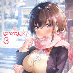 This is a pixiv picture whose title is C99 お品書き.