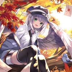 This is a pixiv picture whose title is 紅葉の帳.