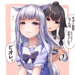 This is a pixiv picture whose title is トレーナーにブラッシングしてもらうゴルシちゃん.
