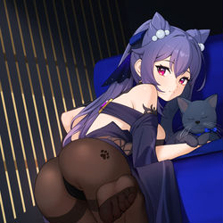This is a pixiv picture whose title is Keqing.
