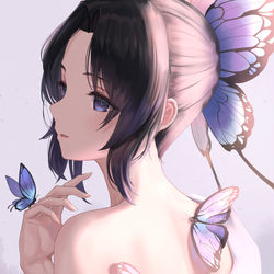 This is a pixiv picture whose title is 蝶.