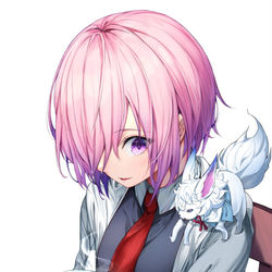 This is a pixiv picture whose title is マシュとフォウくん.