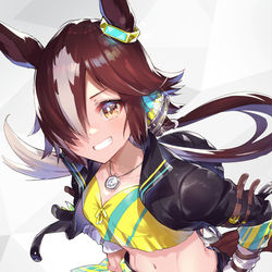 This is a pixiv picture whose title is ウオッカ.