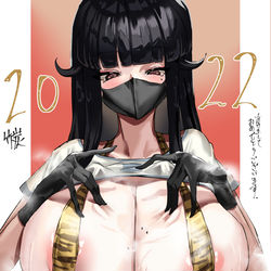 This is a pixiv picture whose title is 2022年.