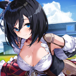 This is a pixiv picture whose title is エイシンフラッシュ.