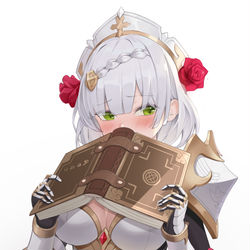 This is a pixiv picture whose title is ノエル.