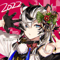 This is a pixiv picture whose title is 2022年寅年.