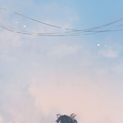 This is a pixiv picture whose title is Petra.