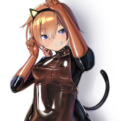 This is a pixiv picture whose title is トランスラバー猫.