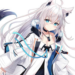 This is a pixiv picture whose title is F.