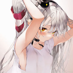 This is a pixiv picture whose title is 天津風のわき.