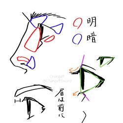 This is a pixiv picture whose title is 横顔を描く時に気をつけていること.