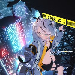 This is a pixiv picture whose title is HAPPY NEW YEAR 2022.