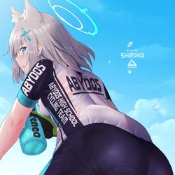This is a pixiv picture whose title is ライディングシロコ.