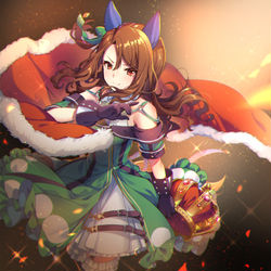 This is a pixiv picture whose title is キングヘイロー.